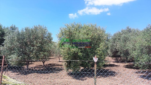 Foto Terreno agricolo a Gela di 1000 m² in vendita