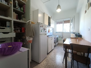 Foto Appartamento a Pisa Porta a Lucca di 14 m² con 4 locali in affitto