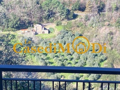 Foto Villa a schiera a Montecatini Val di Cecina di 215 m² con 11 locali