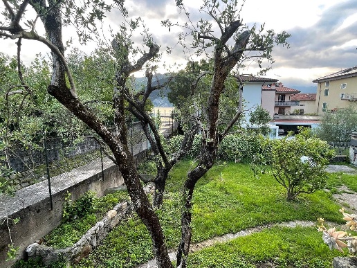 immagine annuncio 3 di 6