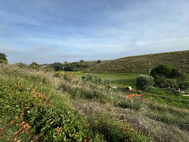 Foto Terreno agricolo a Lapedona in vendita