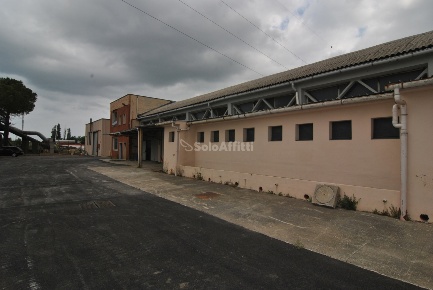Foto Capannone industriale a Collesalvetti Stagno di 1500 m² con 2 locali