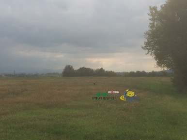 Foto Capannone industriale in Noceto, Noceto di 550 m² con 1 locali