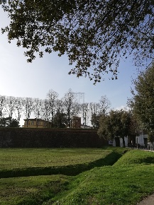 Foto Capannone industriale a Lucca Piazza Napoleone - San Michele di 90 m²