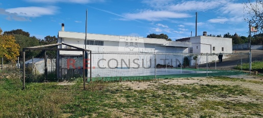 Foto Capannone industriale in Strada Provinciale ex SS 581 126, di 300 m²