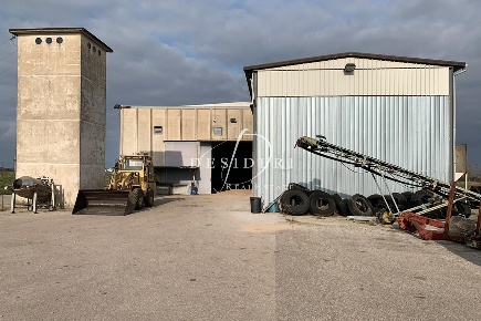 Foto Capannone industriale a Grosseto La Principina di 1594 m² in vendita