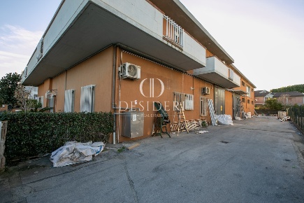 Foto Capannone industriale in Via Davide Lazzeretti, Grosseto Casalone