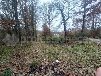 Foto Capannone industriale in LocalitÃ  Civitavecchia 1, di 223 m²