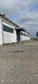 Foto Capannone industriale a Cerano di 1200 m² con 2 locali in affitto