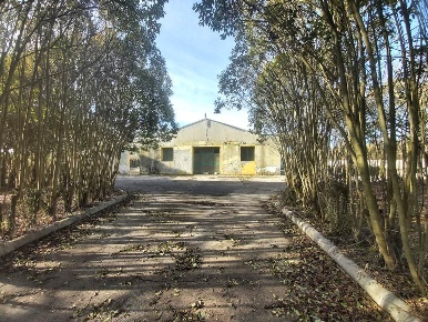 Foto Capannone industriale in Strada vicinale Galla, Noci di 250 m²