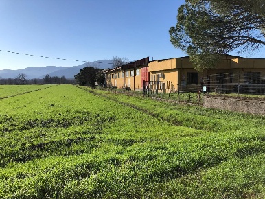 Foto Capannone industriale a Porcari di 2600 m² con 5 locali in vendita