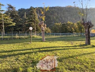 Foto Capannone industriale a Riolo Terme Borgo Rivola di 205 m² in vendita