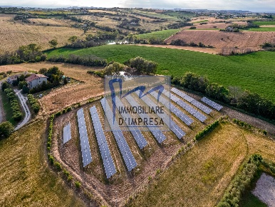 Foto Capannone industriale in Strada Mulattiera Inferiore, Parma in vendita