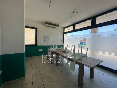 Foto Capannone industriale in via della Gronda, Camaiore Lido di Camaiore