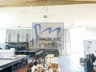 Foto Capannone industriale in Via Emilia Ovest, Fontanellato in vendita