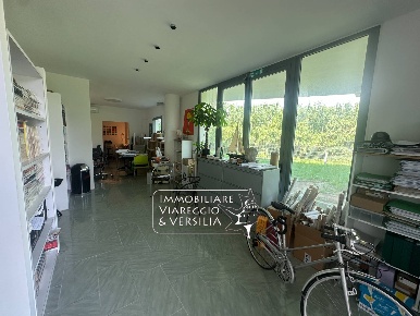 Foto Capannone industriale in via dei Carpentieri, Camaiore Piano di Mommio