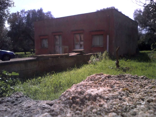 immagine annuncio 1 di 8