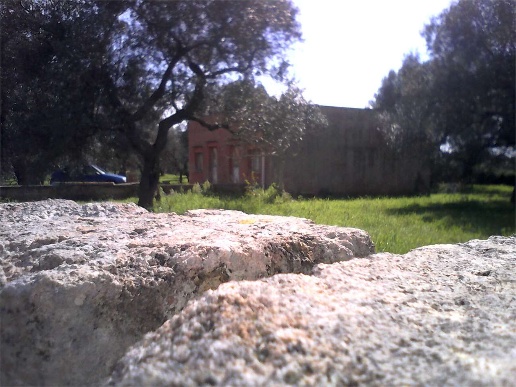 immagine annuncio 2 di 8