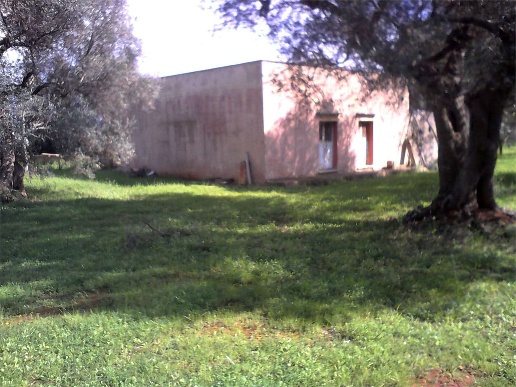immagine annuncio 3 di 8