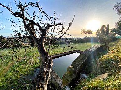 Foto Villa singola a Fermo di 350 m² con 10 locali in vendita