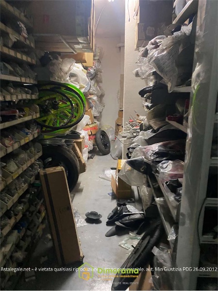 immagine annuncio 6 di 15