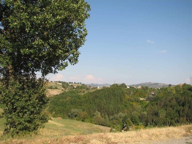 Foto Terreno edificabile in Magrignano, Neviano degli Arduini Magrignano