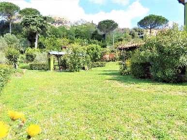Foto Villa a schiera a Montescudaio di 300 m² con 12 locali in vendita
