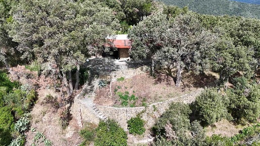 Foto Villa unifamiliare a Castiglione della Pescaia di 251 m² con 10 locali