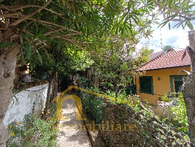 Foto Appartamento in Via Massera, Spoltore Centro di 45 m² con 1 locali