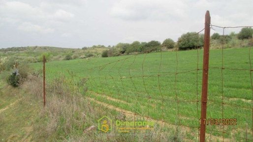 Foto Terreno agricolo in Località Conca Scusciada, San Basilio di 50070 m²