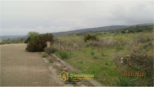 Foto Terreno edificabile a San Basilio di 2004 m² in vendita