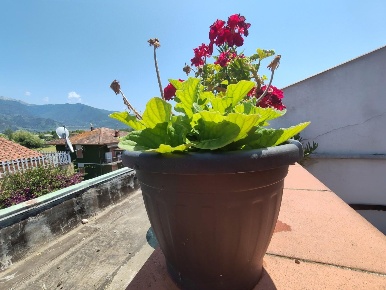 Foto Attico a Massa Marina di Massa Centro di 40 m² con 2 locali in vendita