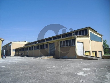 Foto Capannone industriale in via Seletti, Busseto in vendita