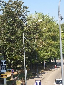 Foto Appartamento in Via A. Pironi, Bondeno Centro di 110 m² con 3 locali