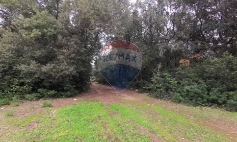 Foto Terreno agricolo in agro di galatina, Galatina di 2400 m² in vendita