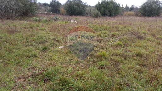 Foto Terreno agricolo in agro di galatina, Galatina di 2400 m² in vendita