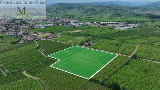 Foto Terreno agricolo a Monteforte d'Alpone Centro di 36040 m² in vendita