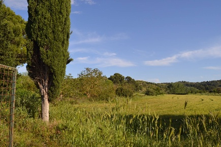 Foto Terreno agricolo in C.da Interdulla - Cava dei servi, Rosolini