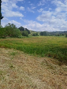Foto Terreno agricolo in C.da Interdulla - Cava dei servi s.n, Rosolini