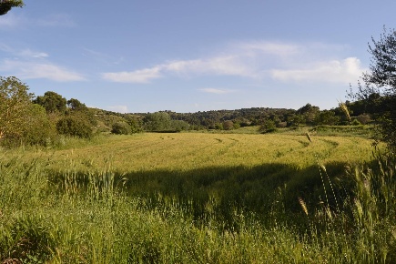 Foto Terreno agricolo in C.da Interdulla - Cava dei servi s.n, Rosolini