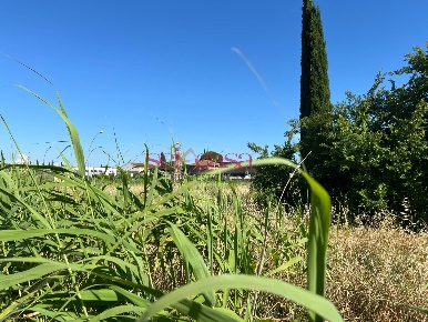 Foto Terreno residenziale a Grosseto Mascagni - Saracina di 1500 m²