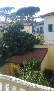 Foto Appartamento a Viareggio in vendita