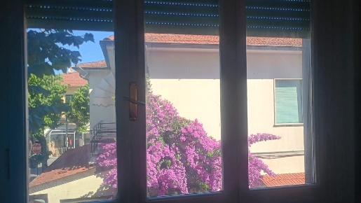 Foto Appartamento a Camaiore Lido di Camaiore di 65 m² con 3 locali