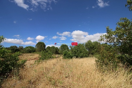 Foto Terreno edificabile in Strada Paretone, Martina Franca di 16000 m²