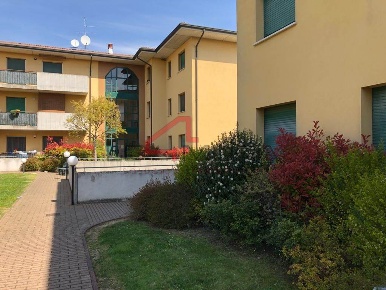 Foto Appartamento a Nogara in vendita
