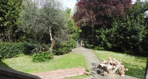 immagine annuncio 7 di 13