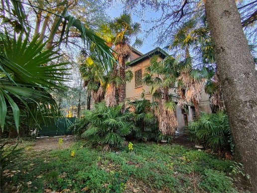 immagine annuncio 1 di 13