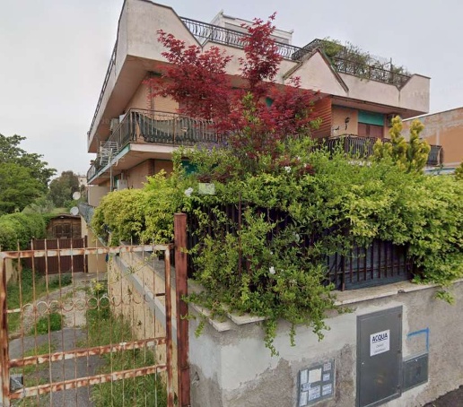 immagine annuncio 5 di 14