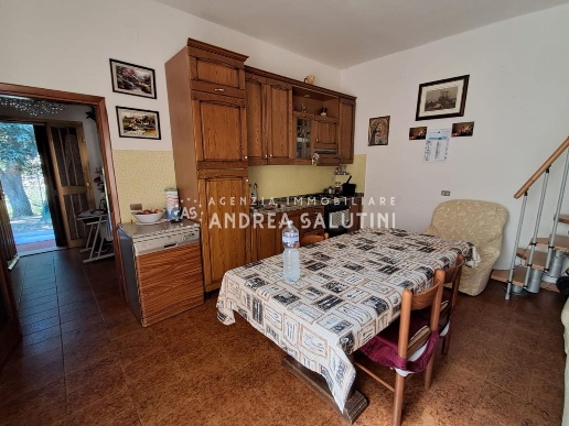 immagine annuncio 2 di 14