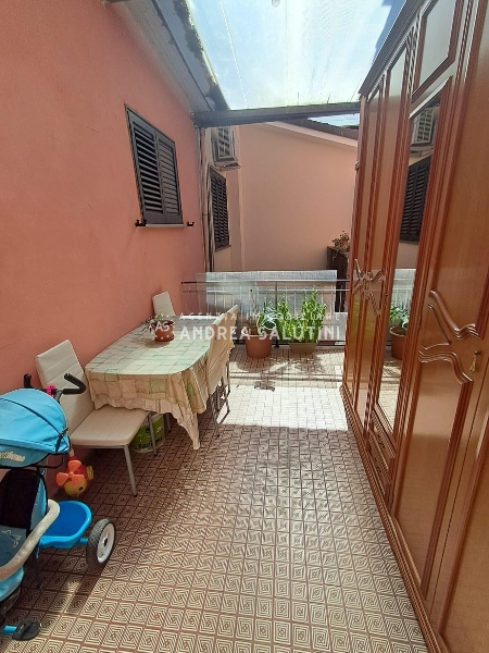 immagine annuncio 3 di 14